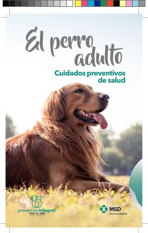 Guia Prevención Perro