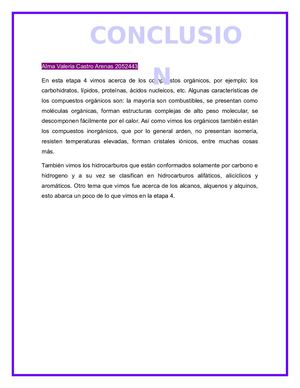 Conclusion Quimica E4