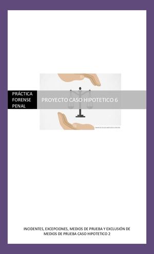 Caso Hipotetico 2 Incidentes, Excepciones, Acuerdos Probatorios Y Medios De Prueba