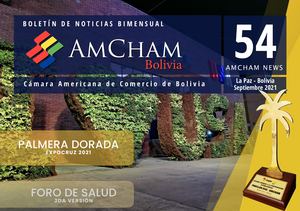 Amcham54
