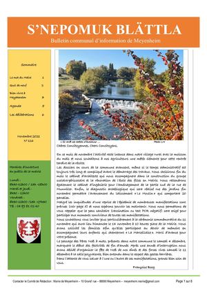 Bulletin Communal de Meyenheim  Novembre 2021