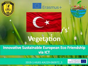 Turkey's' Vegetation