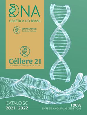 Dna Catálogo 2021