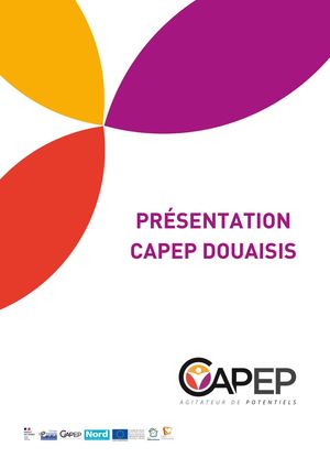 Les Actions Du Capep Douaisis (Document A4) (21 X 14 8 Cm) (14 8 X 21 Cm) (5)