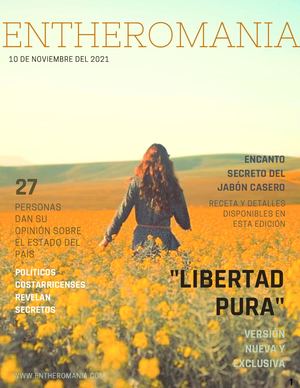 Proyecto Interdisciplinario Final