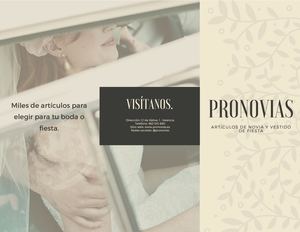 Folleto Tríptico Artículos Regalos Boda Novia Beige Gris