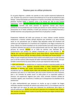 Texto Argumentativo Pirotecnicos Docx