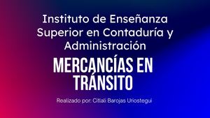 Mercancía en tránsito