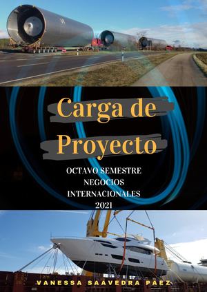 Carga De Proyecto