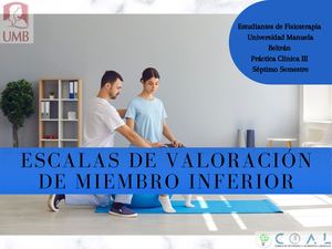 Escalas De Valoración De Miembro Inferior