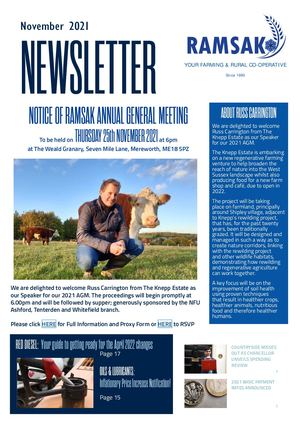 Ramsak Newsletter November 2021