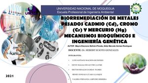 Biorremediación De Metales Pesados
