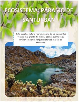 Actividad 5 Ecosistemas Y Flujos De Energia