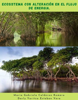 Ecosistema Con Alteración En El Flujo De Energia