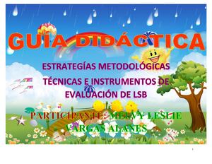 Guia Didactica Melvy Lsb