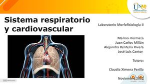 Sistema Respiratorio Y Cardiovascular