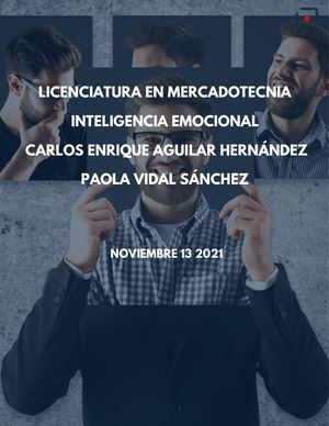 3 4 Aplicación Del Modelo De Goleman