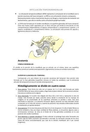 Articulación Temporomandibular