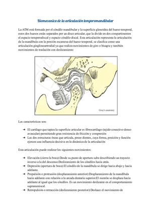 Biomecanica De La Articulación Temporo Mandibular