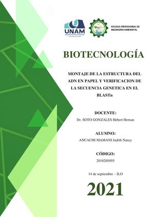 Montaje De La Estructura Del ADN En Papel Y Verificacion De La Secuencia Genetica En El BLASTn