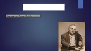 Portofoliu la limba si literatura romina