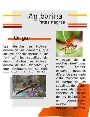 Bitacora Y Plantillas