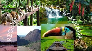 Region Amazonica