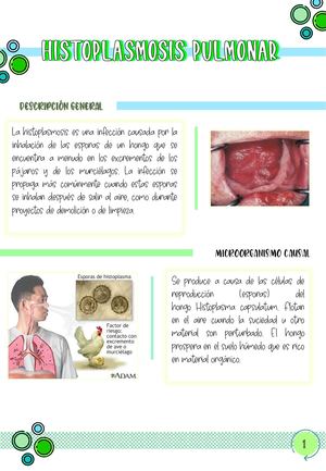 Micologia [Autoguardado]