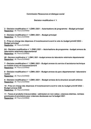 BUDGET 2021 - DECISIONS MODIFICATIVES N°1 - RAPPORTS ET DELIBERATIONS