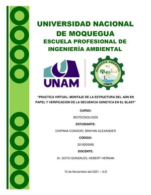 Montaje De La Estructura Del Adn