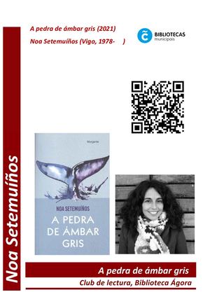 A Pedra De Ambar Gris, de Noa Setemuíños