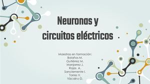 Diapositvas Neuronas Y Circuitos