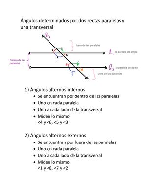 Ángulos Determinados Por Dos Rectas Paralelas Y Una Transversal