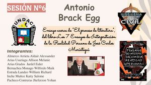 Actividad N°6  - Grupo Antonio Brack Egg