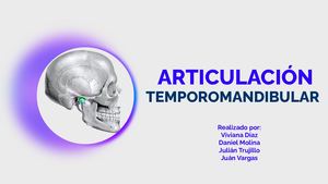 Articulación Temporomandibular