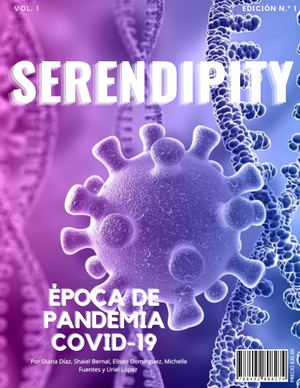 REVISTA SERENDIPITY
