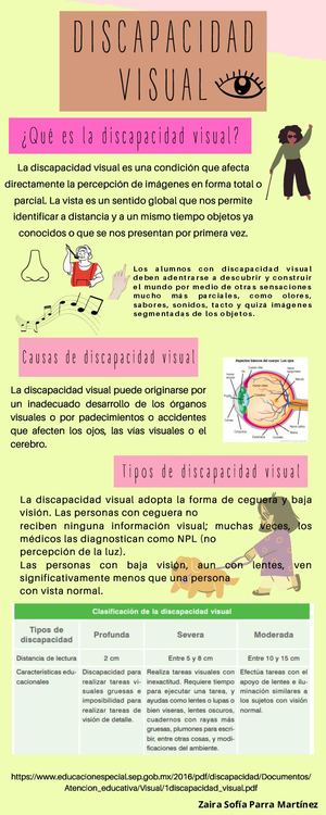 DISCAPACIDAD VISUAL
