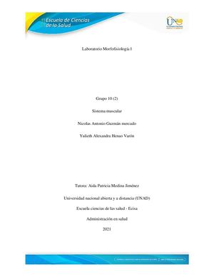 Trabajo Final Practica Laboratorio Morfofisiologia L