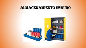 Cartilla Almacenamiento Seguro 1