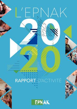 Rapport Activite Epnak Def