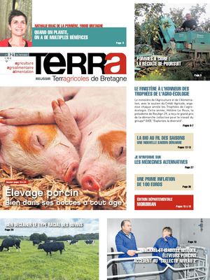 Terra N°821 Édition Morbihan