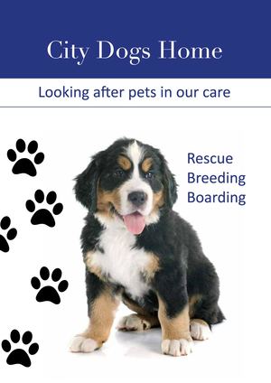 City Dogs Home E Brochure