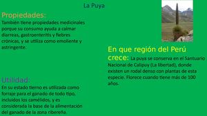 Biodiversidad De Plantas Ok