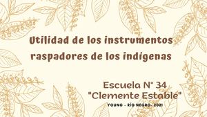Utilidad De Los Instrumentos Indígenas