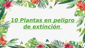 10 plantas en peligro de extinción