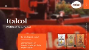 Brochure Italcol