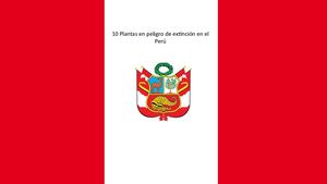 10 Plantas En Peligro De Extinción