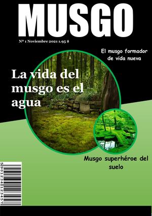 Mi Revista Digital