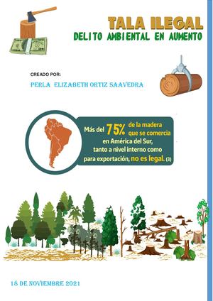 La Tala De Arboles En El Perú (2)