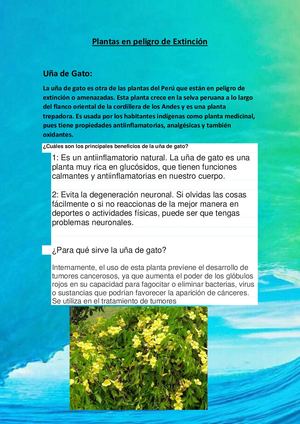 Plantas En Peligro De Extinción